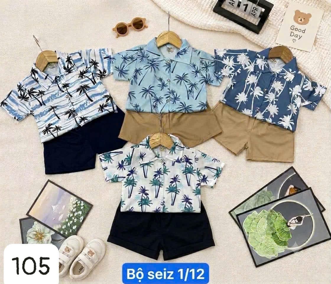 Bộ Cộc Tay Bé Trai Họa Tiết Khủng Long Dễ Thương - Quần áo trẻ em giá sỉ Kho Chị Mỹ